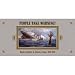 People Take Warning! Murder Ballads & Disaster Songs 1913-1938