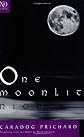 One Moonlit Night (Penguin Twentieth Century Classics)