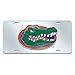 Fan Mats 14983 'University of Florida' Mirror Style License Plate