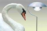 Eigenschaften   / Design Edelstahl Solarleuchte Swing 2er Set