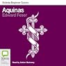 Aquinas: Bolinda Beginner Guides