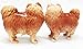 1 X Pom Pom Golden Groomed Pomeranian Attractives Magnetic Salt Pepper Shakers