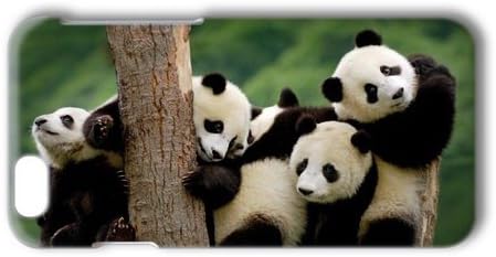 LYNNART Iphone 6 Case Cute Panda Hugging On A Tree Phone Hard Case For Iphone 6 PC Phone Case 4.7 Inch