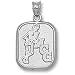Medical College Of Georgia Skeleton Pendant (Silver)