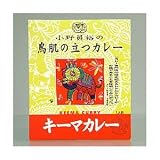 送料無料 鳥肌の立つカレー キーマカレー 10食 送料無料 鳥肌の立つカレー キーマカレー 10食