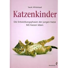 Katzenkinder. Die Entwicklungsphasen der jungen Katze. Mit Katzen leben