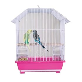 PINK - Brainy Bird Fashion Nests by Brainy Bird