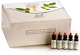 Fleurs de Bach Original - Élixirs floraux - Set cadeau - 38 x 10 ml (Import Grande Bretagne)