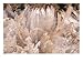 Frost Heave, Nantahala National Forest, North Carolina, USA Photographic Poster Print...