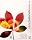 Adobe Creative Suite Premium ���{��� Windows��