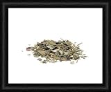 Dried ginkgo - Framed 10x8 Print (25x20cm) by Science Photo Library