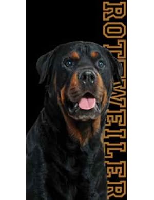 Rottweiler Dog Beach Towel