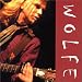 Todd wolfe, Wolfe