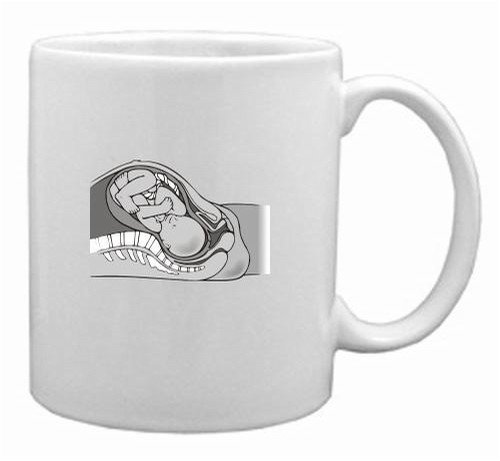 Baby In Womb Mug