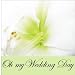Jesu Joy Of Man's Desiring bij MP3-downloads bij de naam: 41FEI3O6nWL._SL75_