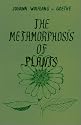 Metamorphosis of Plants