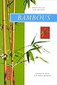 Bambous : Comment les cultiver facilement