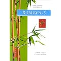 Bambous : Comment les cultiver facilement