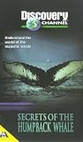Discovery Channel - Secrets Of The Humpback Whale