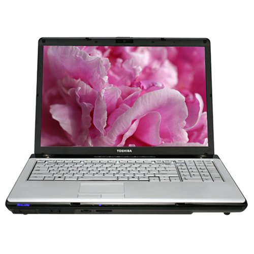 PCHardware: Toshiba Satellite P205 S6237 17