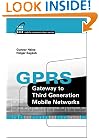 GPRS: Gateway to Third Generation Mobile Networks