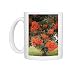 Photo Mugs of MAB-626 Pohutukawa tree - with brilliant red flowers from Ardea Wildlife Pets