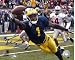 Braylon Edwards Autographed/Hand Signed Michigan Wolverines 8x10 Photo