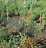 David's Garden Tool Tomato Trellis Twine Nylon 1,000 Foot Roll per Order