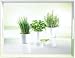 EMSA Tablett 50 x 37 cm ¿ Herbs