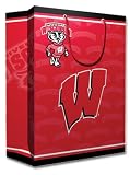University of Wisconsin Team Logo Gift Bag (Medium)