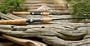 St. Croix Premier Spinning Rod 6'6",Medium Fast, PS66MF