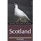 The best books about birding