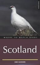 Where to Watch Birds in Scotland (Where to Watch Birds)