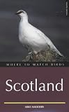Where to Watch Birds in Scotland