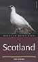 Where to Watch Birds in Scotland