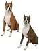 Boxer Life Size K-9 Kreations Statue (Fawn)