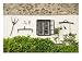 Farmhouse, Lake Balaton Region, Hungary Photographic Print by Walter Bibikow, 24