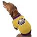 LSU Tigers Gold Collegiate Dog T-shirt