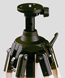 Berlebach Report 3-Section Wood Tripod w/Center Column BE8023