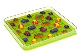 3D Squares Insects Brain Teaser Puzzle
