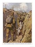 Private Brown of the North Staffordshires in the Trenches in France is Found by His Terrier Art Giclee Poster Print by W.r. Stott, 18x24