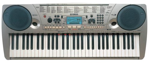 Childrens Toyshop  Musical Instruments : Yamaha EZ30