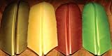 Turkey Feather Biots ::: Fly Tying Material