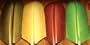 Turkey Feather Biots ::: Fly Tying Material