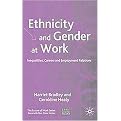 Ethnicity and Gender At Work (Identity, Careers And Employment Relations) (The Future of Work Series) (Hardcover)