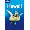 Hawaii Surfing Guides