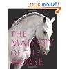 The Majesty of the Horse