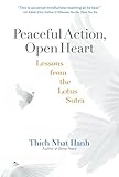Peaceful action, open heart : lessons from the Lotus Sutra