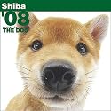 Shiba 2008 Calendar