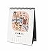 Rifle Paper Co 2017 Desk Calendar (Maps)